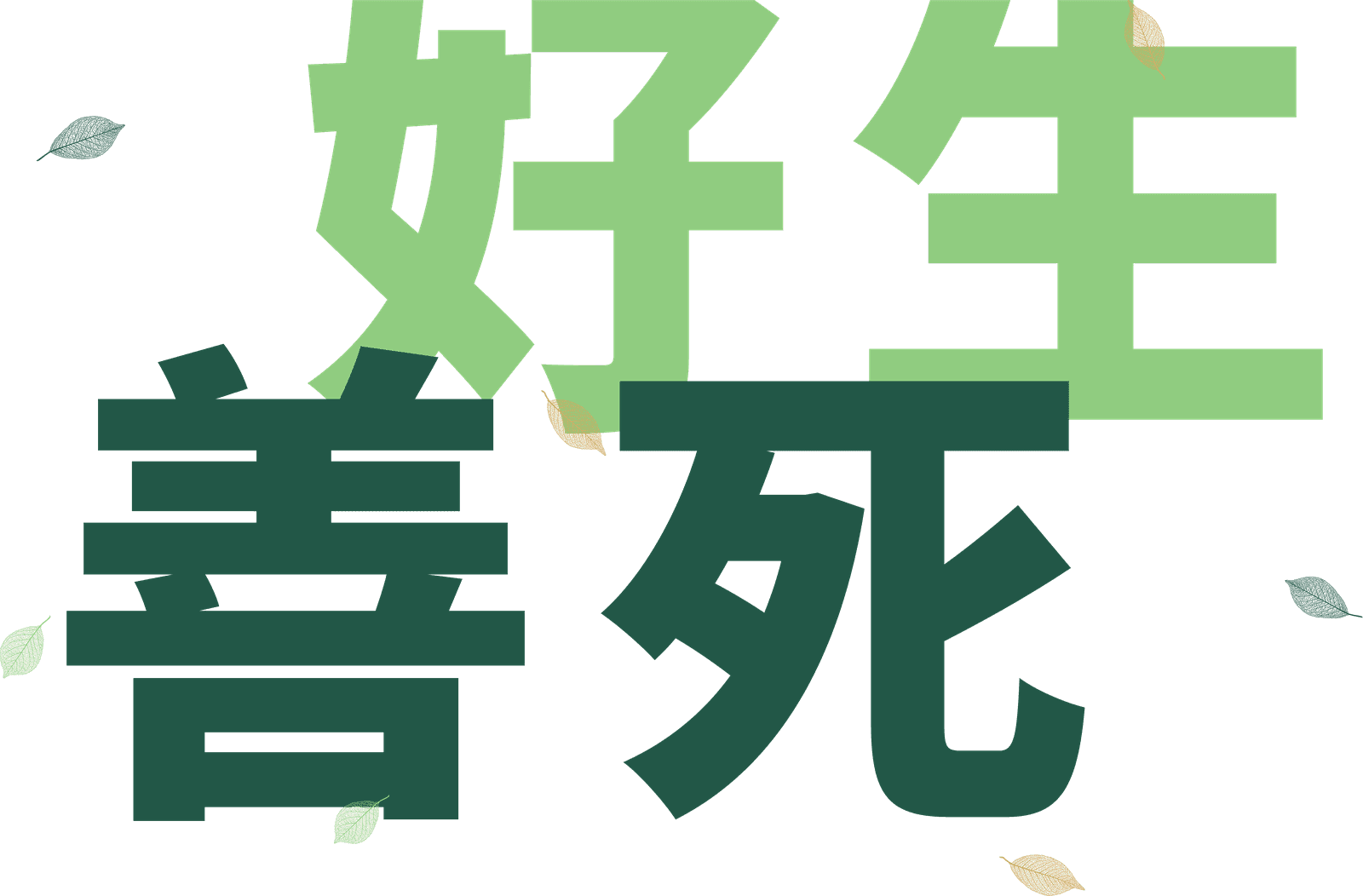 好生善死 2026